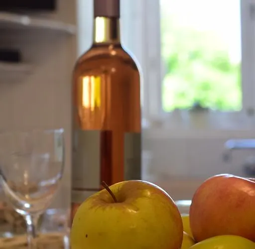 公寓 Old Town Theo *